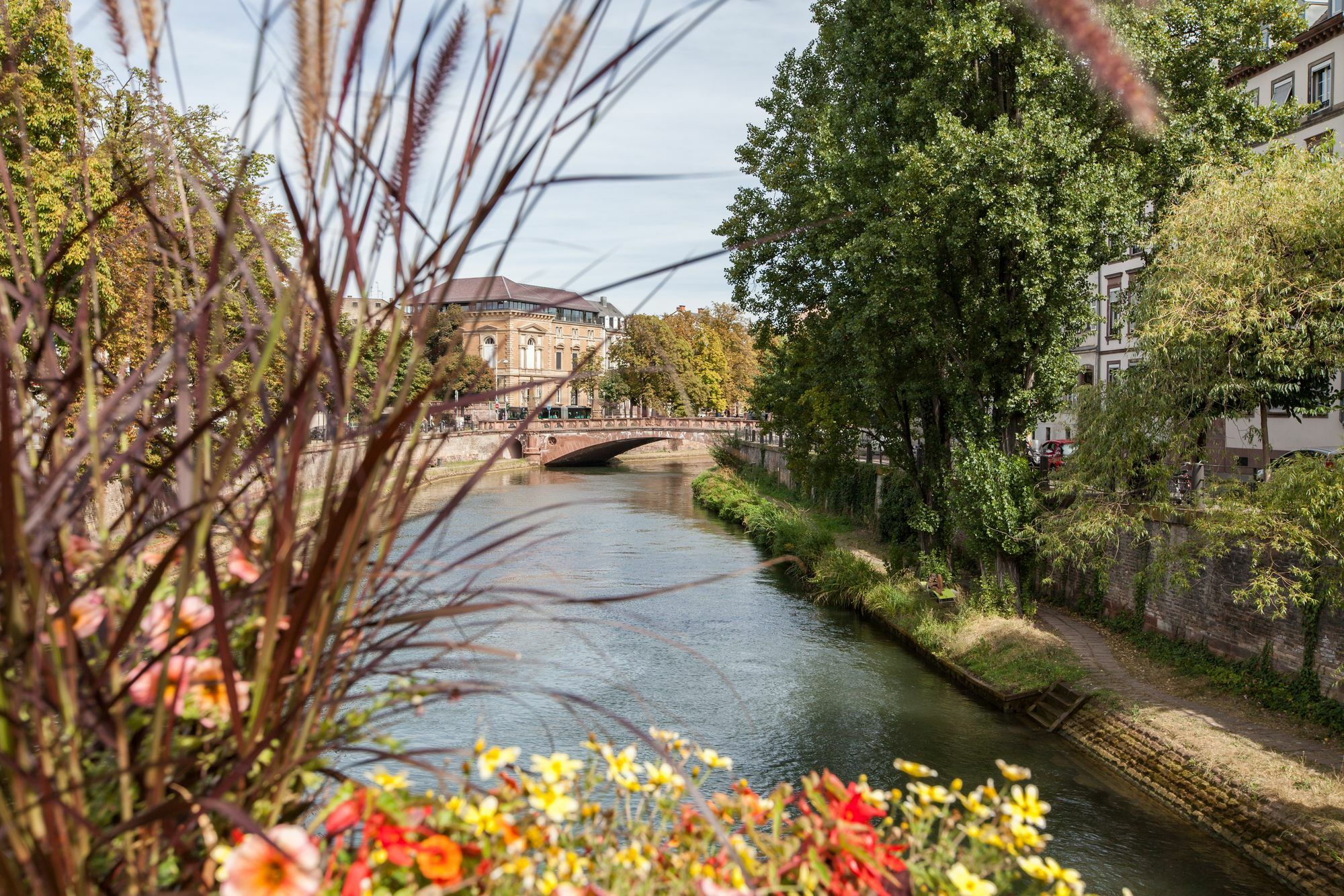 L'Appart Du Quai Avec Terrasse Strasbourg Eksteriør bilde